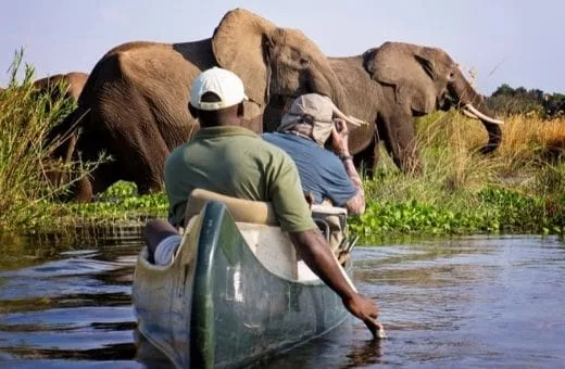 safari canoe atypique voyage de luxe éléphants