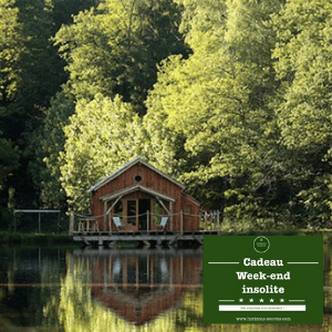 week-end insolite carte cadeau sur-mesure voyage mystère - cabane dans les bois